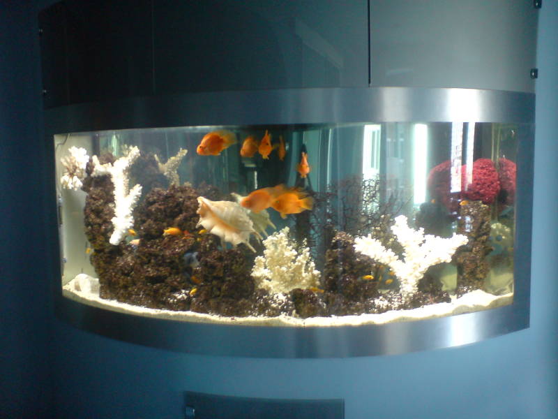 Цена на обслуживание аквариумов в Москве